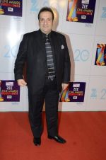 at Zee Awards red carpet in Mumbai on 6th Jan 2013,1 (76).JPG